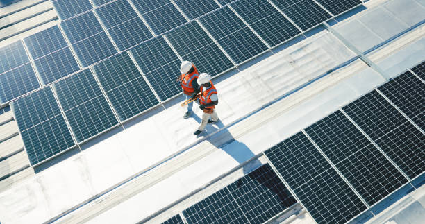 Best Roof Moss and Algae Removal  in Teaticket, MA